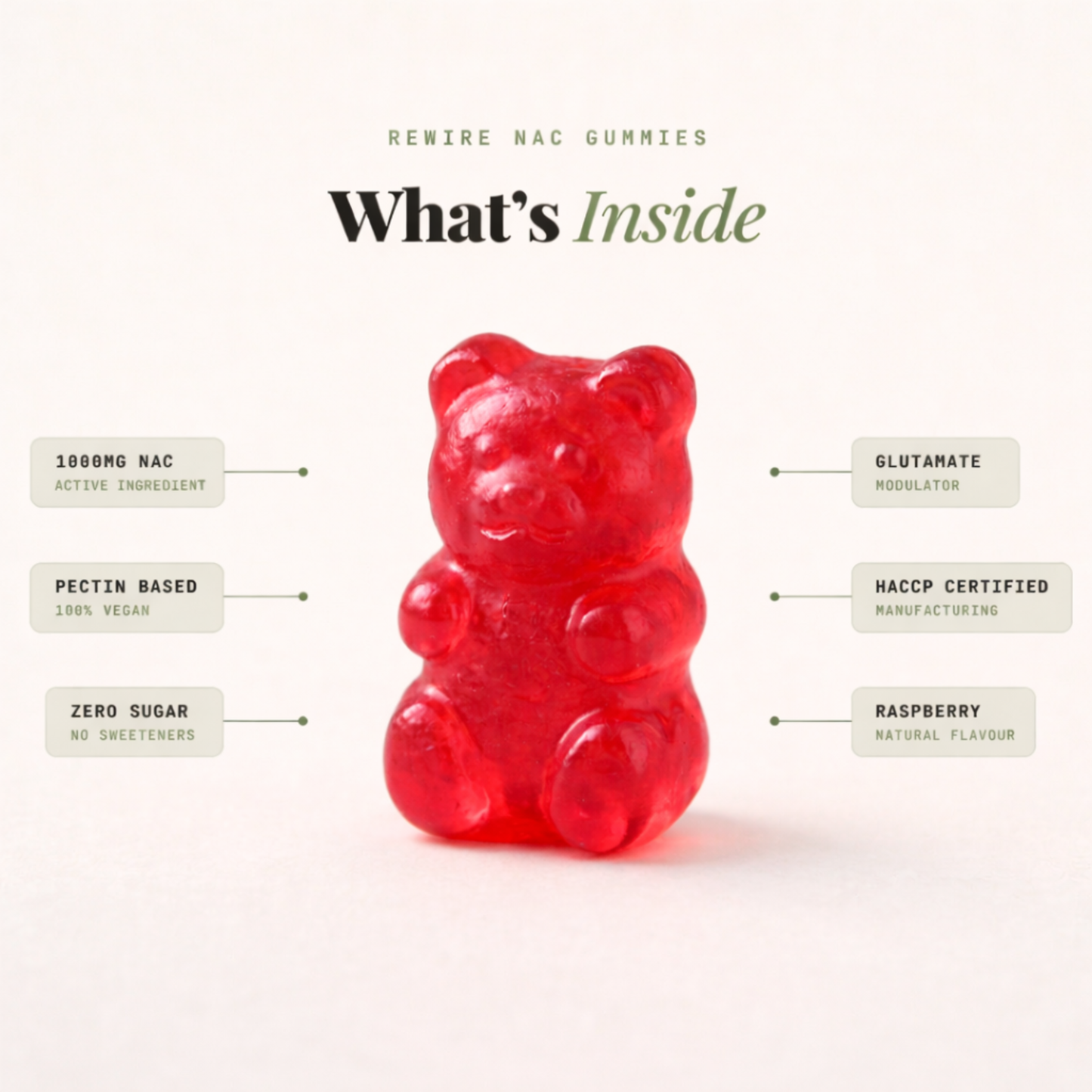 REWIRE | NAC Gummies